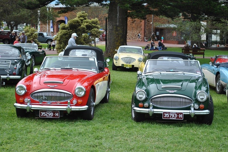 22 Austin Healey 3000 line up