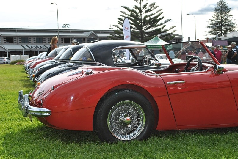 26 Austin Healey 3000 line up