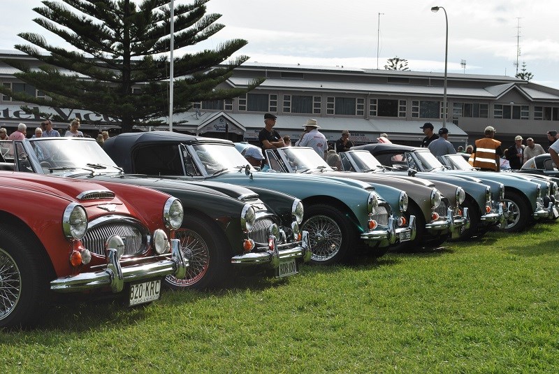 34 Austin Healey 3000 line up