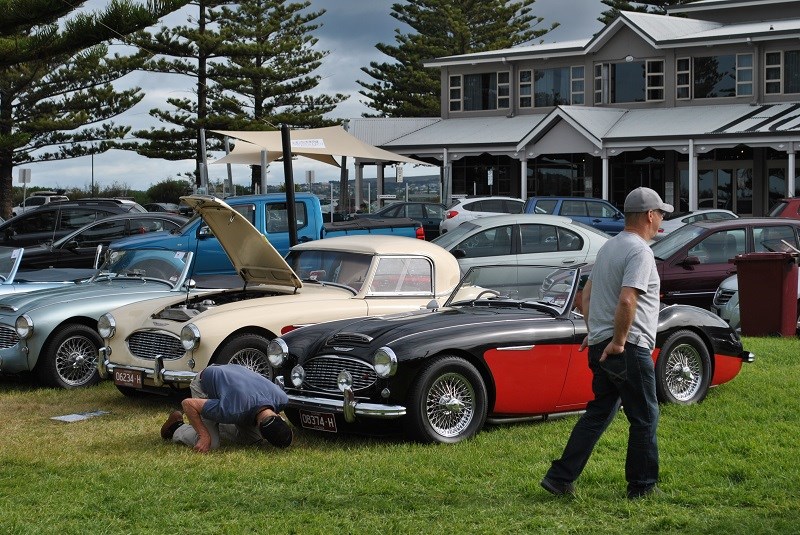 41 Austin Healey 100 6 line up