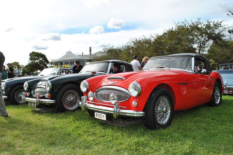 46 Austin Healey 3000 line up