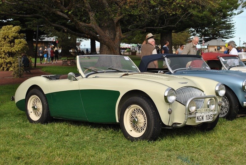 Austin Healey 100 BN1 Robert and Margaret Duddington 02