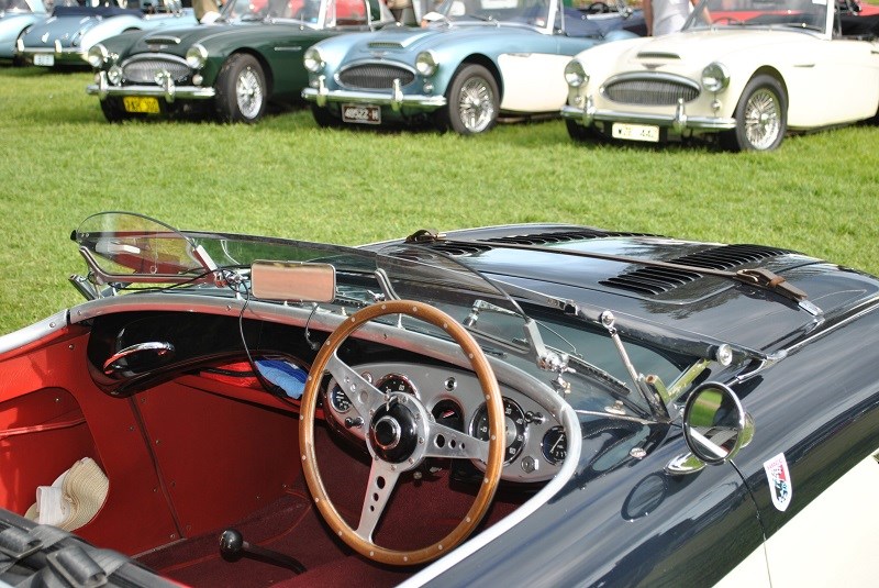 Austin Healey 100 BN1 owner unknown interior shot with 3000s in background 01