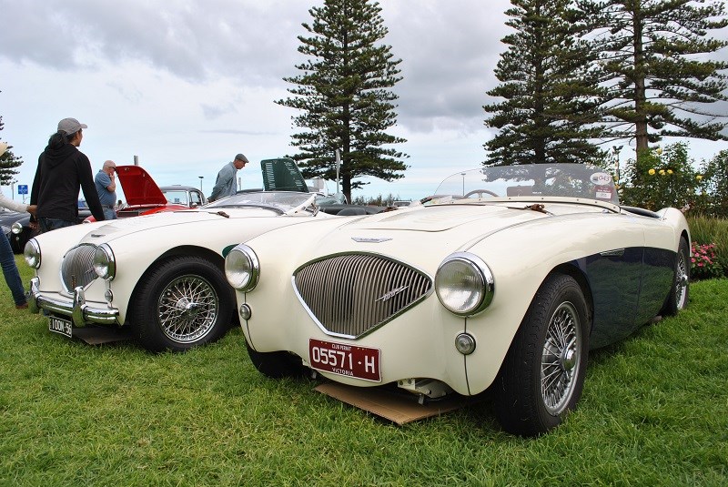 Austin Healey 100M BN2 replica 03 line up