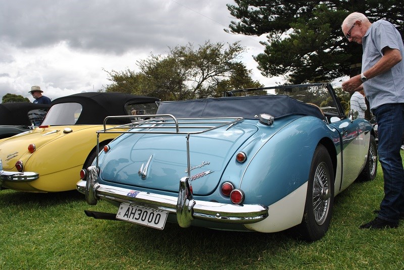 Austin Healey 3000 Mk II BJ7 George Sandra Pickering 1962 build 06 bird poo with George