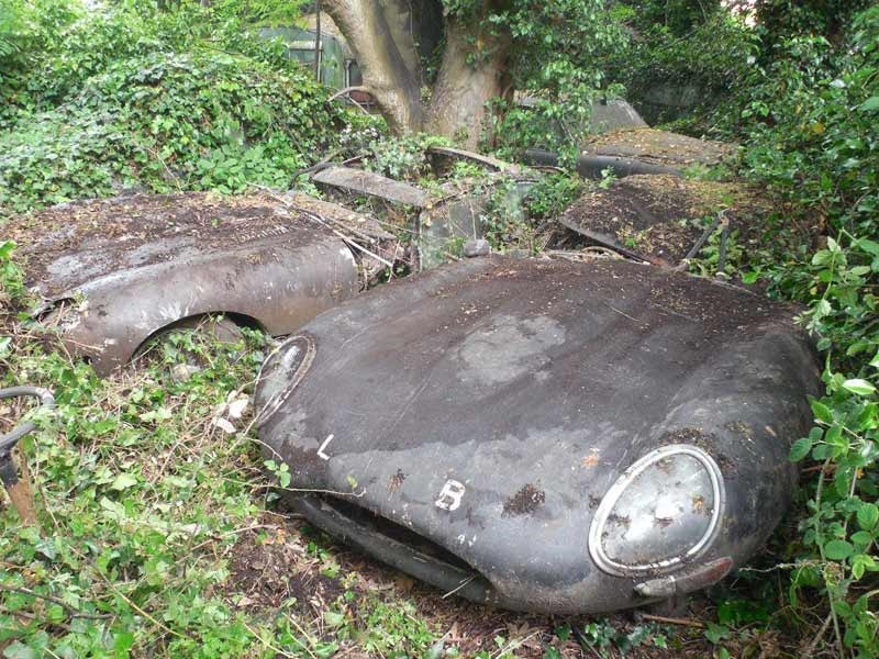 Jaguar E type hedge find 2