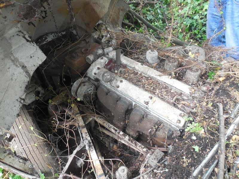 Jaguar E type hedge find 5