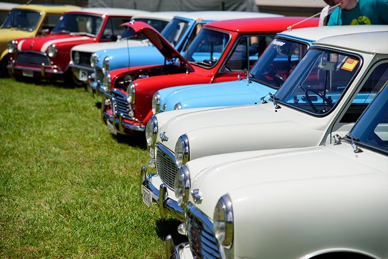 Minis in the Gong 83
