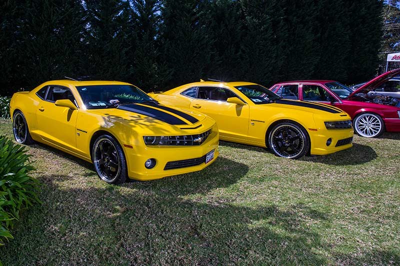 Northern Beaches Muscle car 33