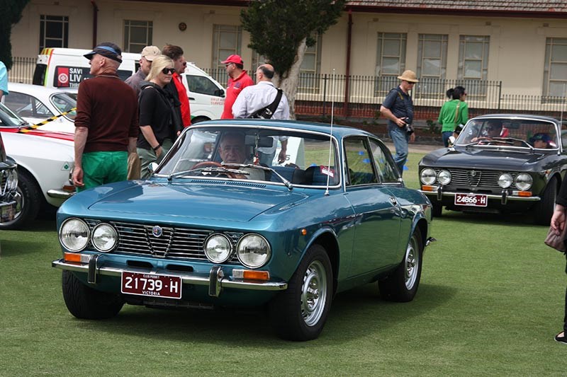 alfa romeo 105 2