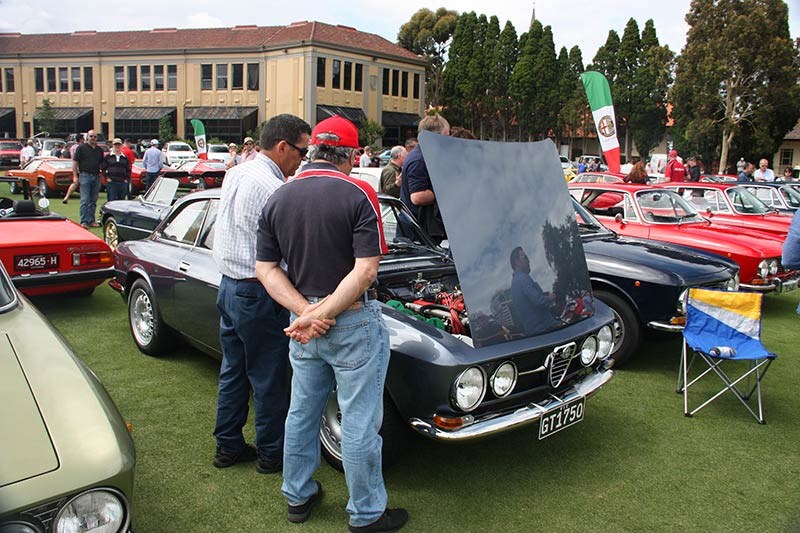 alfa romeo 105