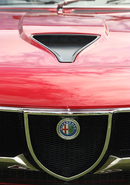 alfa romeo montreal grill