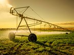 Farm advice: New regulations on dam safety