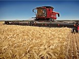 Case IH introduces 2013 Axial-Flow combine harvesters 