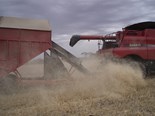 WA farmers beat weeds at harvest