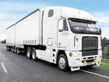 The Freightliner Argosy is suited for long-haul work. Its enormous cab could sleep several families.