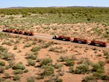 Mineral Resources recently transported 900 tonnes of iron ore on three autonomous road trains