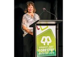 Nominations called for 2021 Hawke’s Bay Forestry Awards
