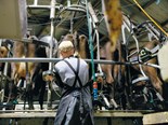Farm advice: Ideas to reduce working hours on dairy farms 