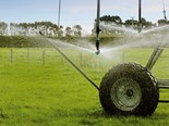 Farm Advice: The importance of getting your irrigation system perfect