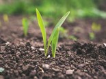 Advice around soil nutrient retention