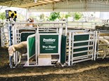 Datamars Livestock acquires NZ-based Prattley