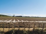 LandWISE offers post-flood soil management advice 