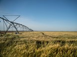 Farm advice: Repairing your irrigation system following a flood 