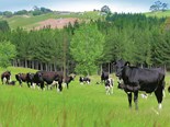 DairyNZ is committed to helping farmers reduce methane emissions while maintaining on-farm profit