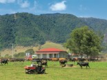 Looking at the implications for relationship property in the rural sector