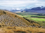 Nestled beneath the Southern Alps, Glenaan Station boasts a rich and diverse history. Largely made up of steep tussock land and river flats, the 1035-hectare property represents a fascinating array of farming practices, with sustainability at the core.