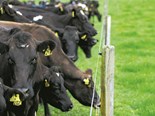 Farm advice: Dairy tech trends in 2023