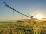 Farm advice: Managing irrigation during dry conditions