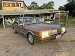 1981 Ford LTD - today's tempter