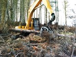 Forestry: the perfectly built logging excavator