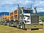 2017 Nelson Truck Show