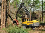 Volvo EC380DL is being used to fall, trim, and process seven-tonne-plus trees into logs