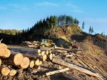 Logging apprenticeship 