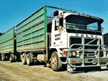 Old school trucks: Transport Waimate Part 1