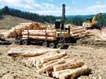 The professional logging contractor