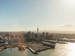 Comment: Ports of Auckland decision must make economic sense 