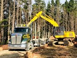 Forestry commentary: Aztec Forestry Transport Developments