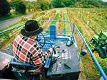 Farming in top 4 defining NZ characteristics