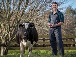 NZ-developed Penethaject formulation a world first to treat mastitis in dairy cows