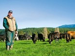 Farmer's call to boost national herd