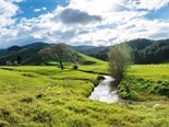 Managing effluent on NZ farms