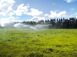Understanding good irrigation management practice