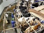 Global dairy outlook predicts 14 million dairy farms to go by 2030