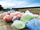 Ag plastic recycling gets boost from Government investment