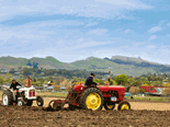 Event report: Ploughing matches and vintage machinery